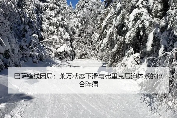 ba-sa-feng-xian-kun-ju-lai-wan-zhuang-tai-xia-hua-yu-fu-li-ke-ya-po-ti-xi-de-mo-he-zhen-tong-2-869.jpg