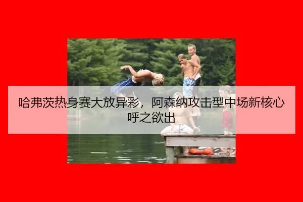 ha-fu-ci-re-shen-sai-da-fang-yi-cai-a-sen-na-gong-ji-xing-zhong-chang-xin-he-xin-hu-zhi-yu-chu-2-456.jpg