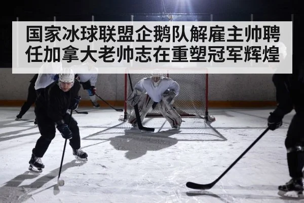 国家冰球联盟企鹅队解雇主帅聘任加拿大老帅志在重塑冠军辉煌